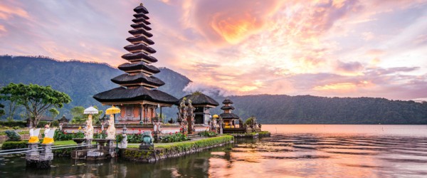 Journey to Bali - Lotus & Frangipani Flowers