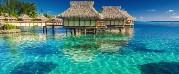 Journey to the Islands - Aloe Vera & Tiare Flowers